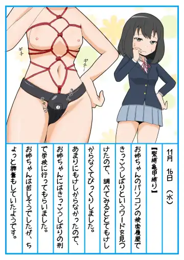 Onee-chan Zecchou Kanri Dorei Choukyou Nikki Fhentai - Page 12