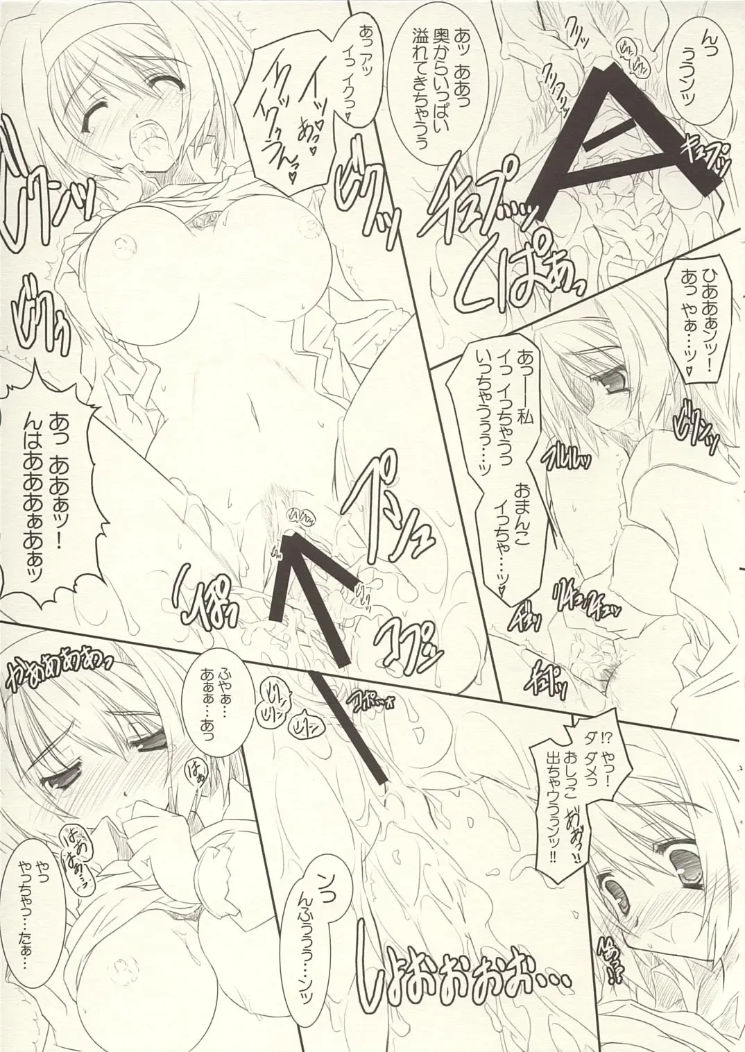 [Bahamucho] TS-R Fhentai - Page 14