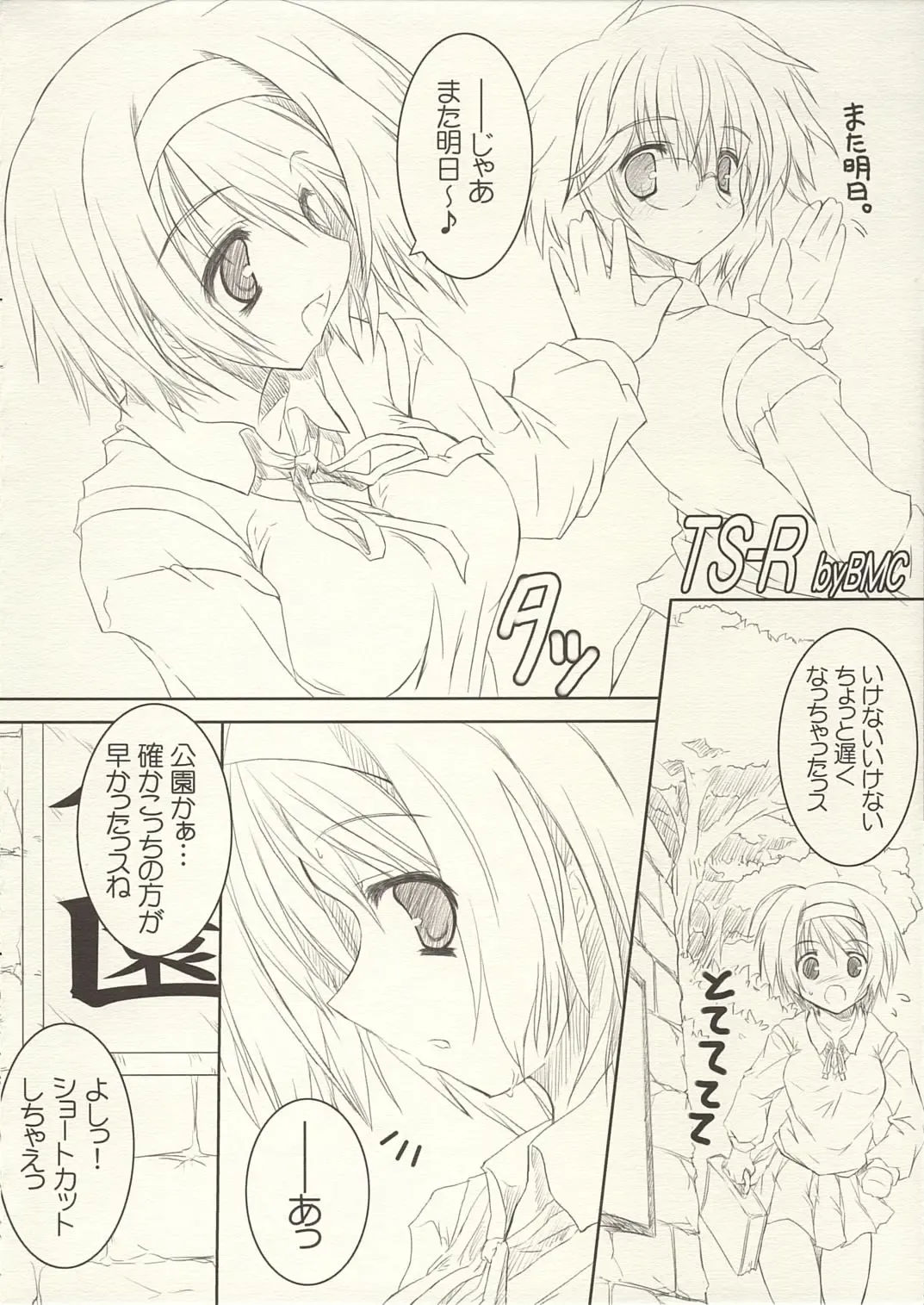 [Bahamucho] TS-R Fhentai - Page 3