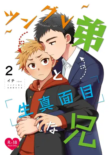 Read [Ichi] Tsungure Otouto to Kimajime na Ani 2 - Fhentai