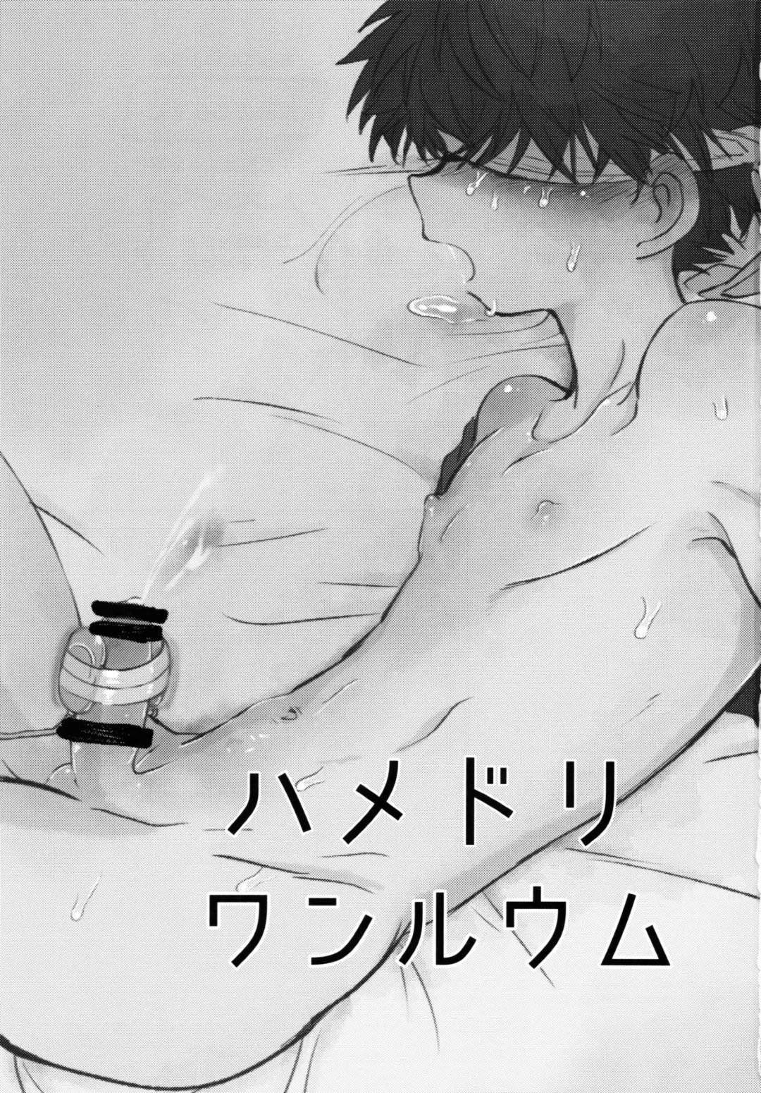 [Ematsuko] Hamedori One Room Fhentai - Page 2