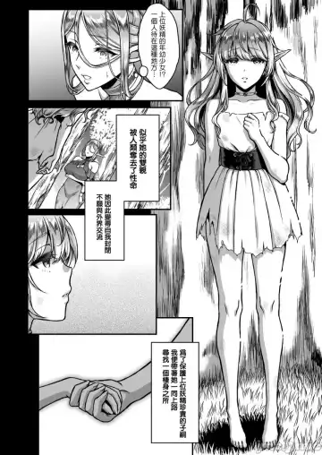 黄昏の娼エルフ Fhentai - Page 63