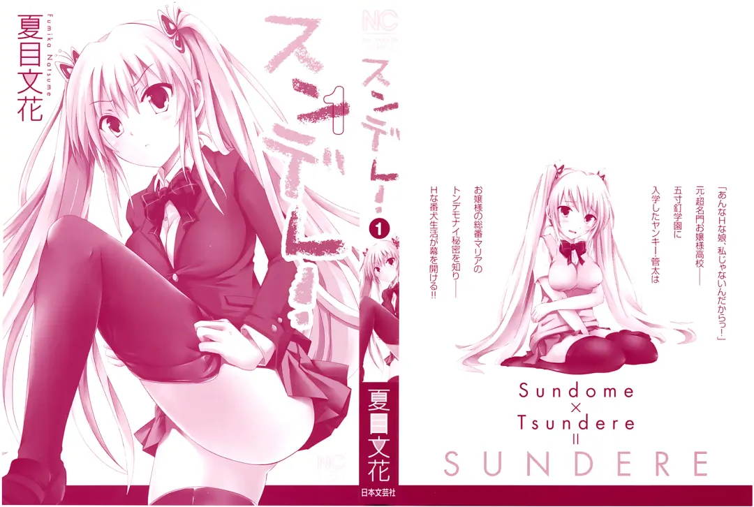 [Natsume Fumika] Sundere! Ch. 1 Fhentai - Page 3