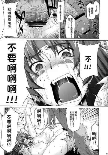 [Seura Isago] Risty-Rin ~Kanzenban~ Fhentai - Page 34