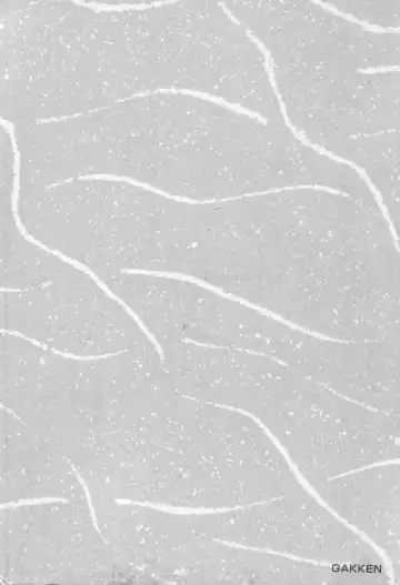 [Urushihara Satoshi] Chirality - To The Promised Land Vol.1 Fhentai - Page 180