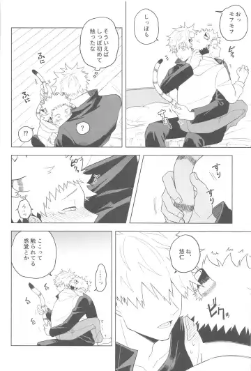 [Itsuiro] KEMOMIMISHIPPO Fhentai - Page 34