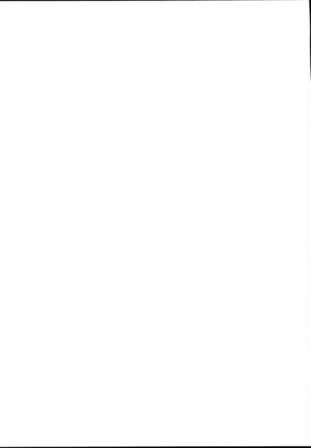 [Tetsu Kazuna] Kiba-san to P ga Sex suru dake no Hon Fhentai - Page 19