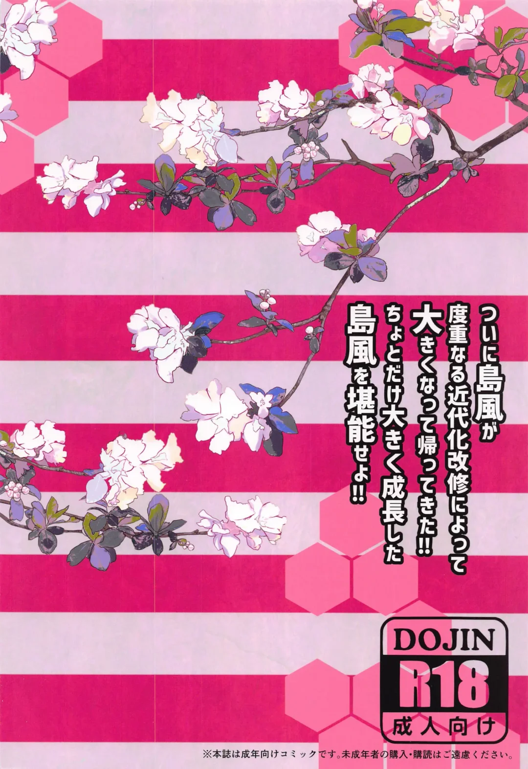 [Kurokawa Izumi] Imasara  desu ga  Shimakaze mo Kindaika Kaishuu  ni yori Ookiku  Narimashita Fhentai - Page 18