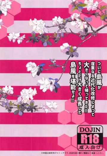 [Kurokawa Izumi] Imasara  desu ga  Shimakaze mo Kindaika Kaishuu  ni yori Ookiku  Narimashita Fhentai - Page 18