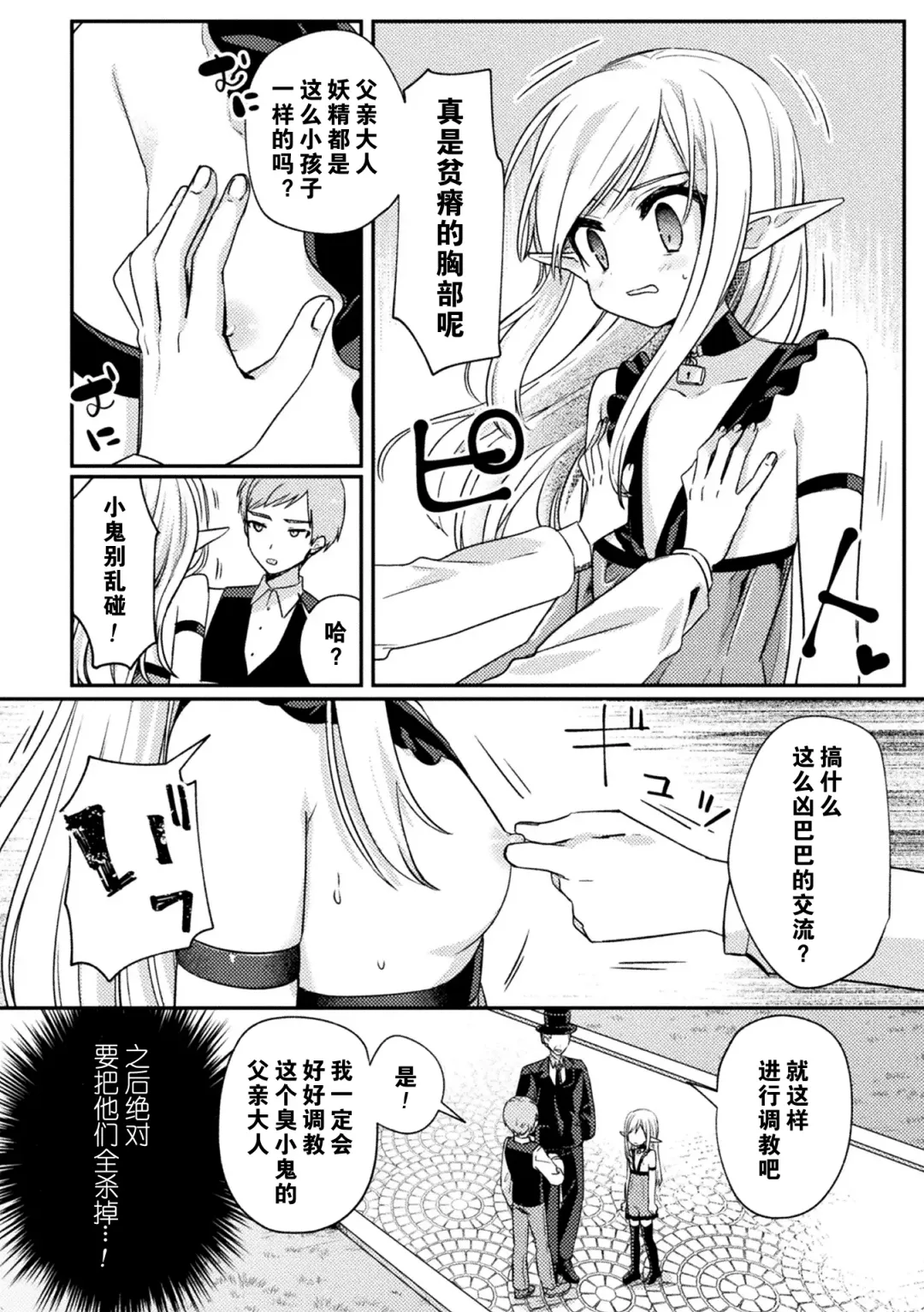 [Sumidumi] Pet Ochi ~Kokou no  Elf~ Fhentai - Page 12