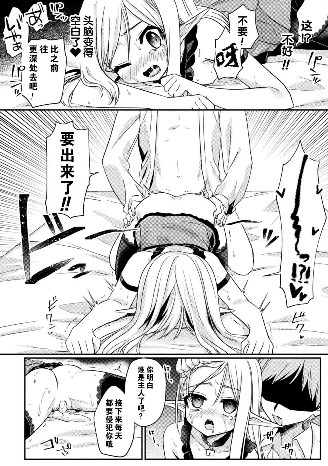 [Sumidumi] Pet Ochi ~Kokou no  Elf~ Fhentai - Page 18