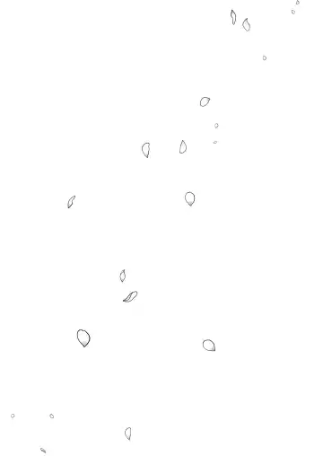 [Katsura Airi] Karami Zakari vol. 3 | Entanglement vol. 3 (uncensored) Fhentai - Page 143