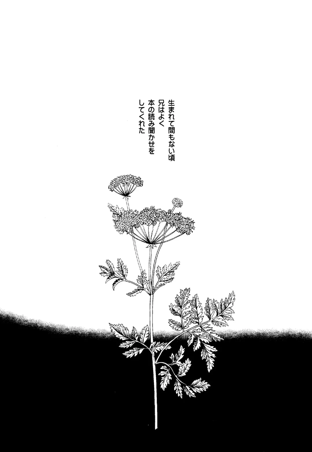 [Coq10] Toge Fhentai - Page 2