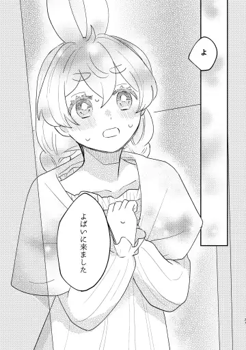 [Sabakan] Usagi Reijou to Ookami Reisoku Fhentai - Page 27