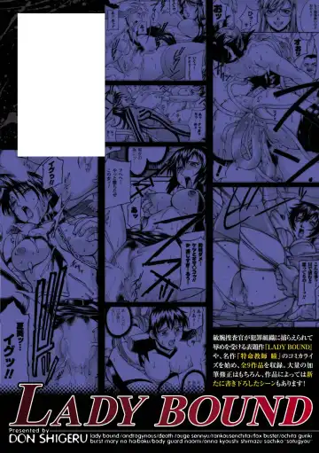 [Don Shigeru] LADY BOUND Fhentai - Page 166