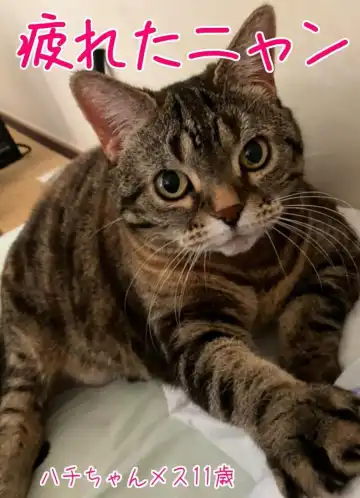 Shoujo no Wazuka ni Ukabu Mune no Fukurami Shoujo Mono Soushuuhen 2 Fhentai - Page 120