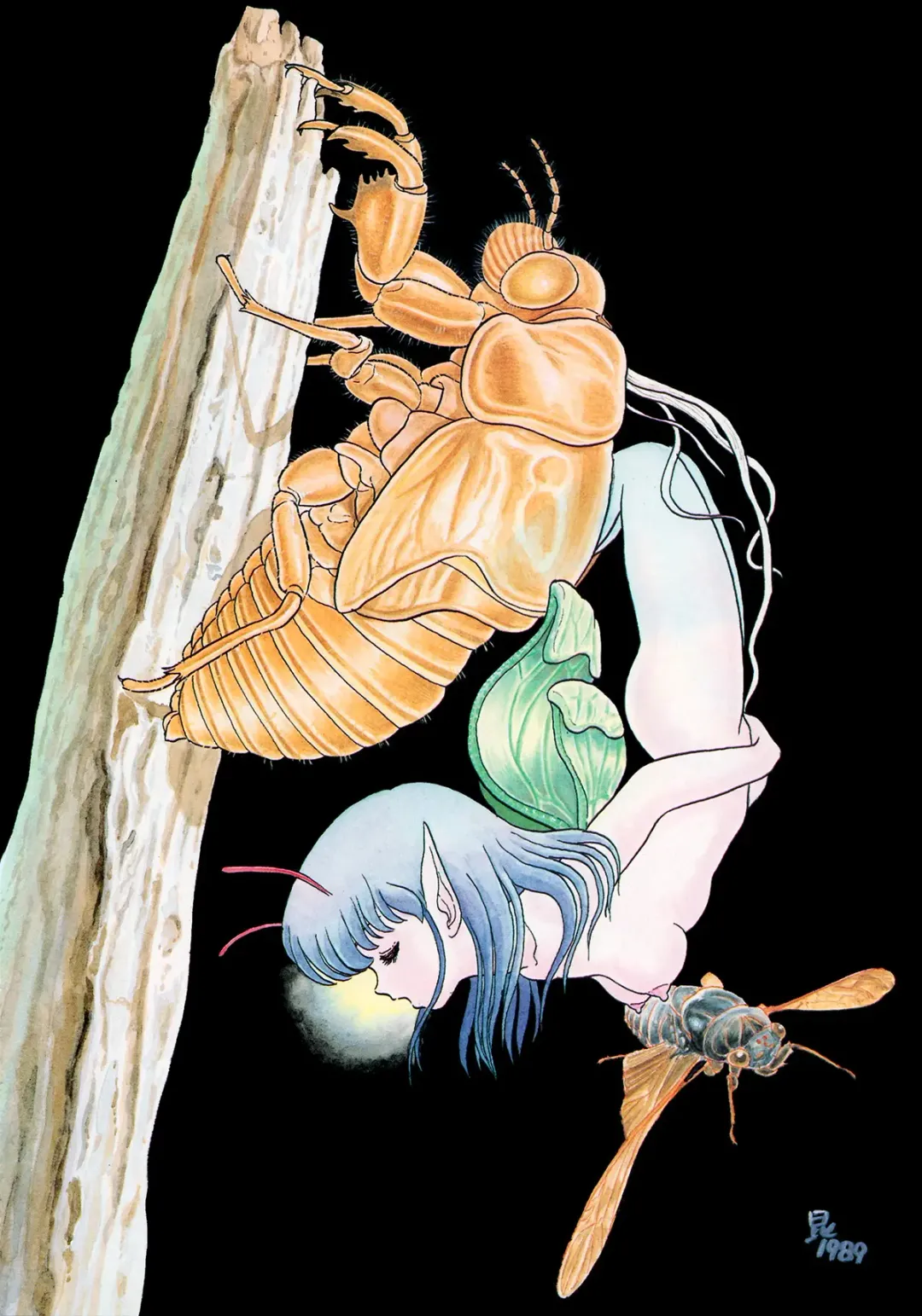 [Kondom] Insect Hunter Fhentai - Page 7