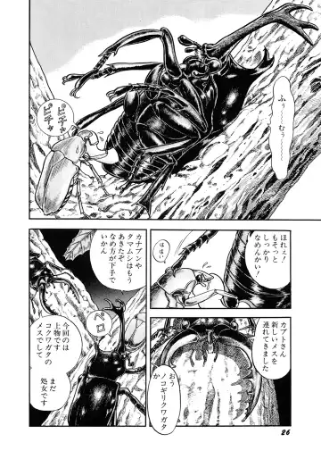 [Kondom] Insect Hunter Fhentai - Page 29