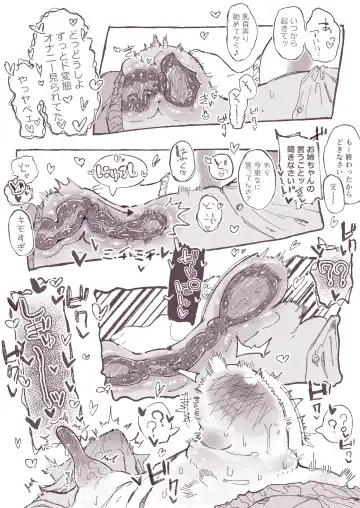 [Boukoku Daitouryou] Hentai no Ane o Seibai suru Imouto Fhentai - Page 11