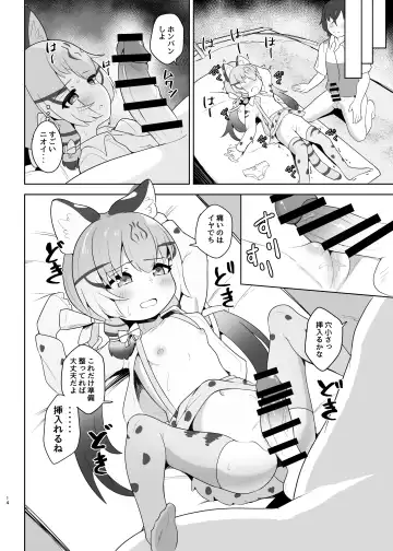 [Dull] Geoffroy Neko wa Otoshigoro Fhentai - Page 14