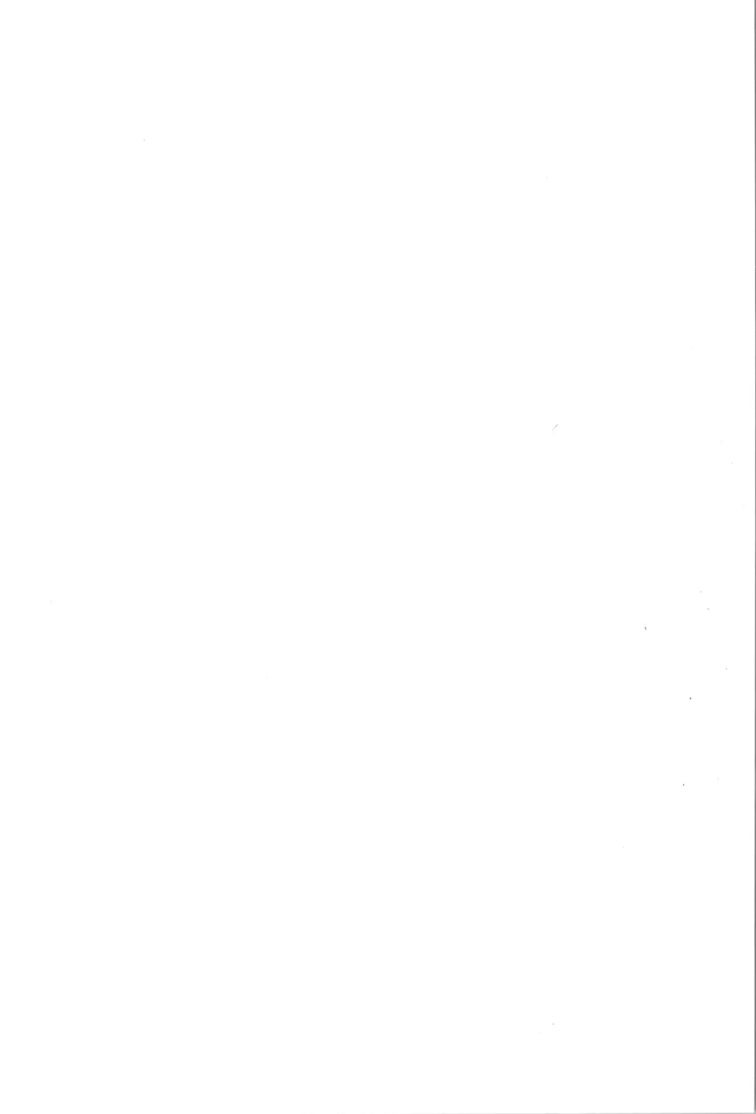 TS Mahou Shoujo Pure Rabbit 3 Kindan no Nagusamex Fhentai - Page 2