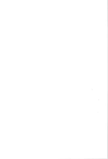 TS Mahou Shoujo Pure Rabbit 3 Kindan no Nagusamex Fhentai - Page 2