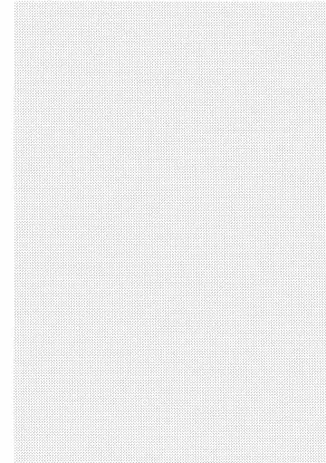 [Saigi] Custom Honey 2 Fhentai - Page 19