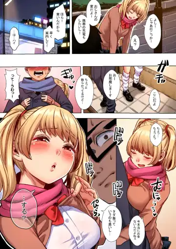 [Omizu Chihiro] Wakeari JK Iede shita Gal o Kattemita Kekka! 1+2 Full Color Gappon-ban Fhentai - Page 5
