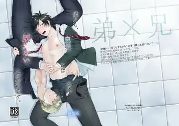 Read [Takanashi Ai] Bokutachi, Kyoudai ni wa Mou Modorenai Mitai desu. - Fhentai