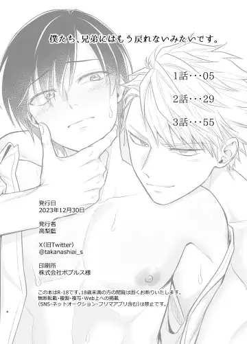 [Takanashi Ai] Bokutachi, Kyoudai ni wa Mou Modorenai Mitai desu. Fhentai - Page 4