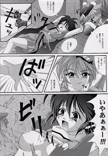 [Izumi - Reizei] Ataraxia e no Benshouhou Fhentai - Page 19