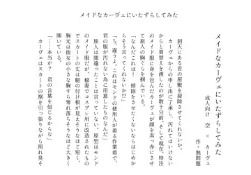 [Crow] Miruku wa Ikaga? Goshujin-sama Fhentai - Page 7