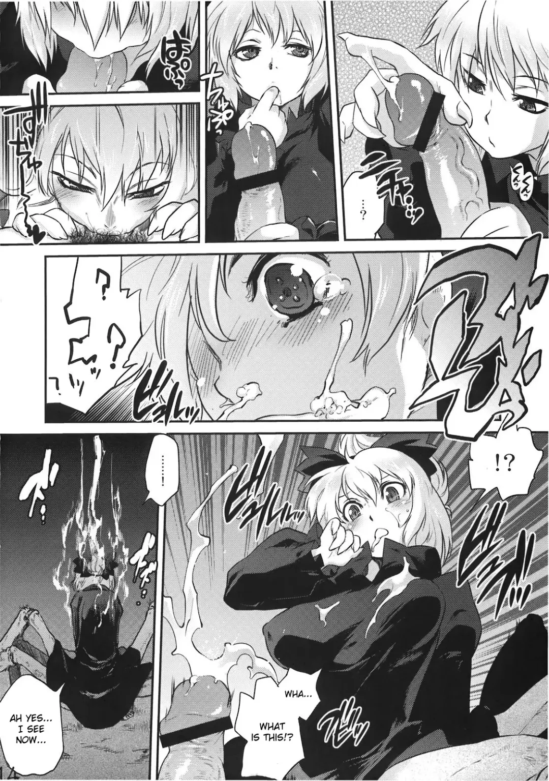 [Tomotsuka Haruomi] Byoujo no Sho Fhentai - Page 14