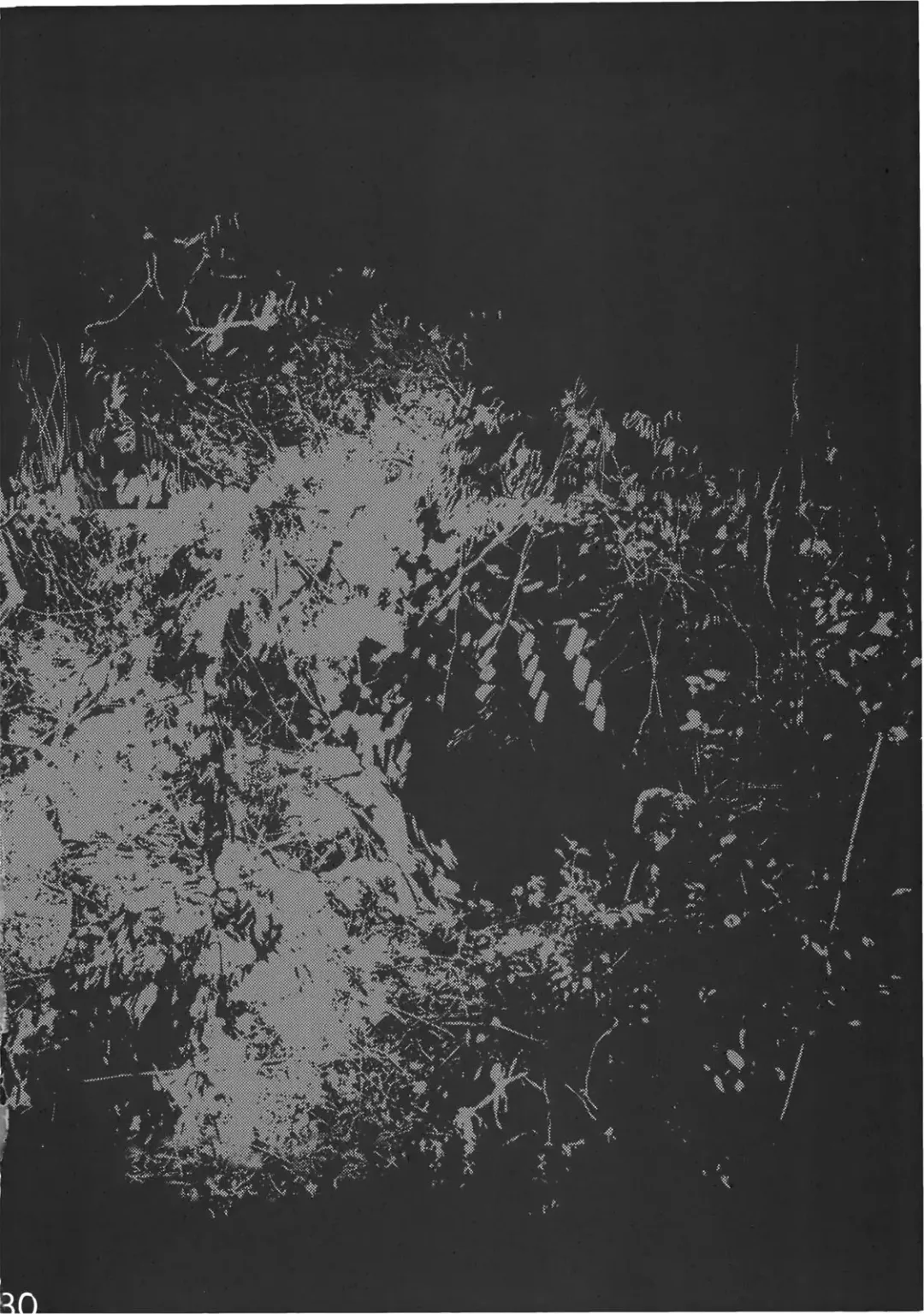 [Tomotsuka Haruomi] Byoujo no Sho Fhentai - Page 30