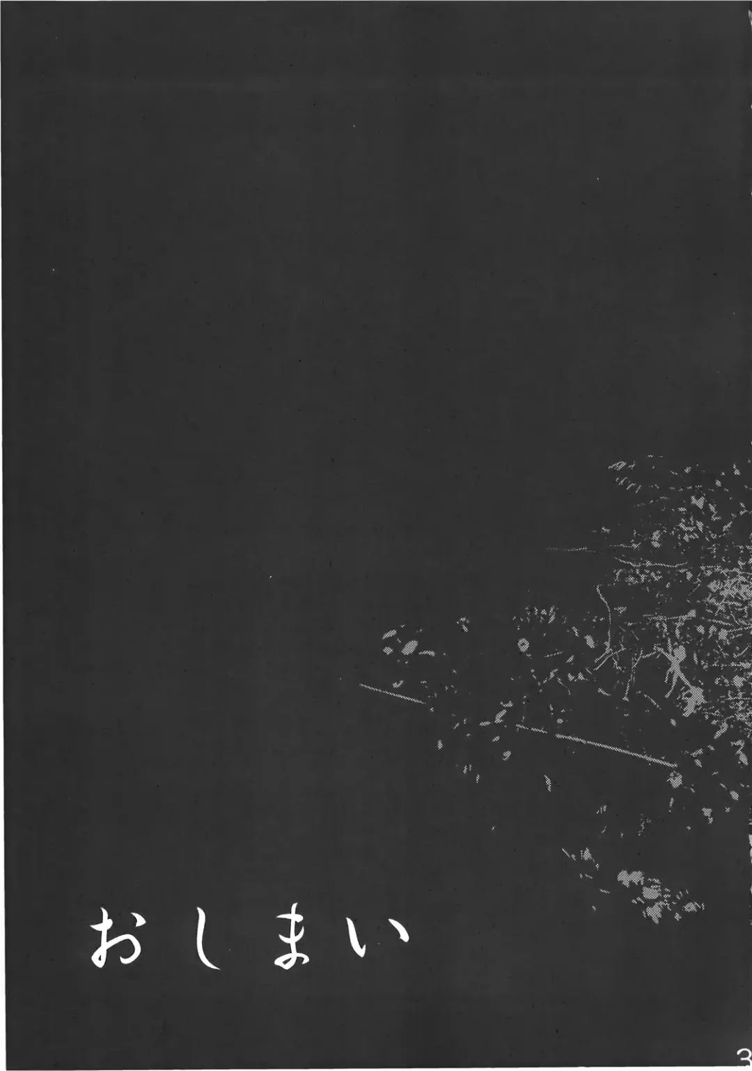 [Tomotsuka Haruomi] Byoujo no Sho Fhentai - Page 31