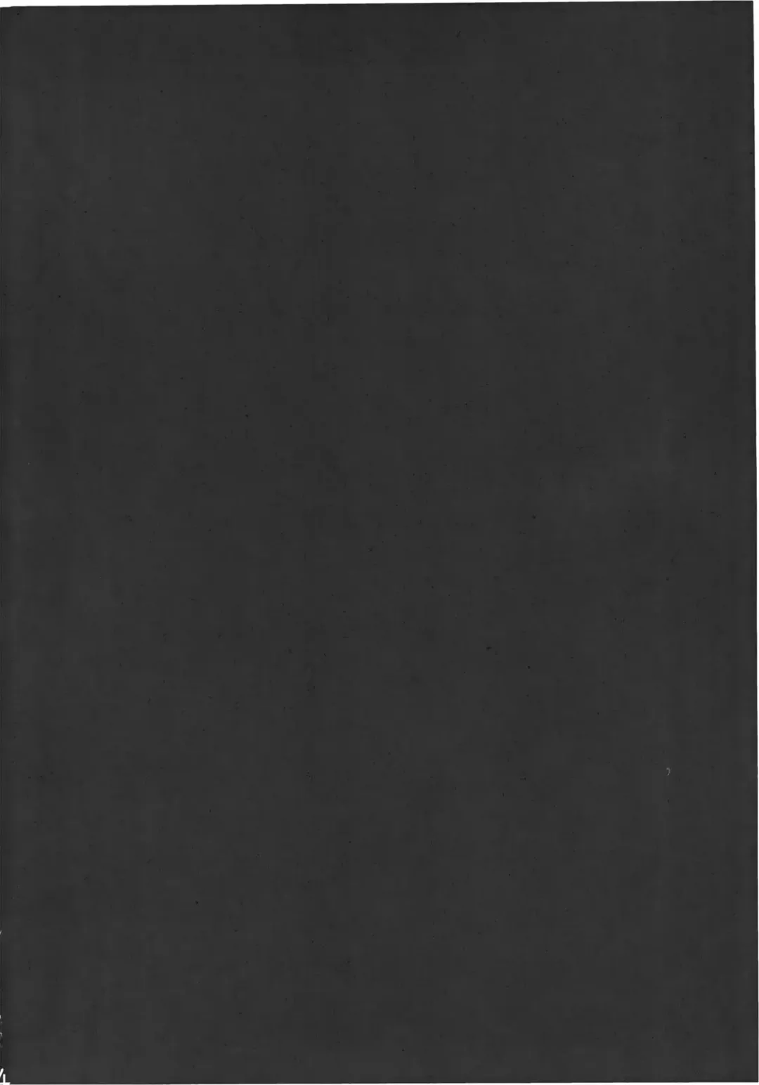 [Tomotsuka Haruomi] Byoujo no Sho Fhentai - Page 4