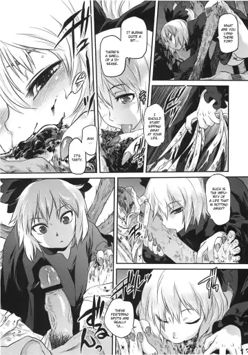 [Tomotsuka Haruomi] Byoujo no Sho Fhentai - Page 13