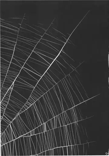 [Tomotsuka Haruomi] Byoujo no Sho Fhentai - Page 29