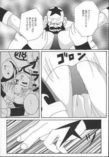 [Izumi] The Garden Of Epikuros Fhentai - Page 19