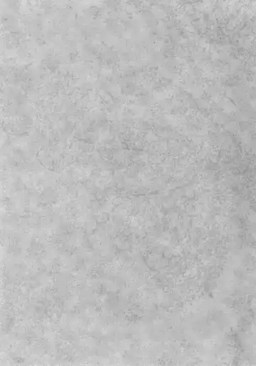 [3e] Little by Little Fhentai - Page 2