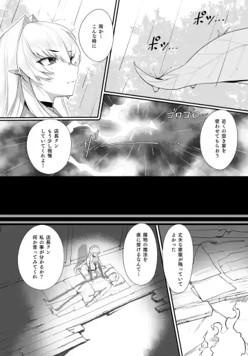[Yaman] Aru Kenshi no Seigou Fhentai - Page 14