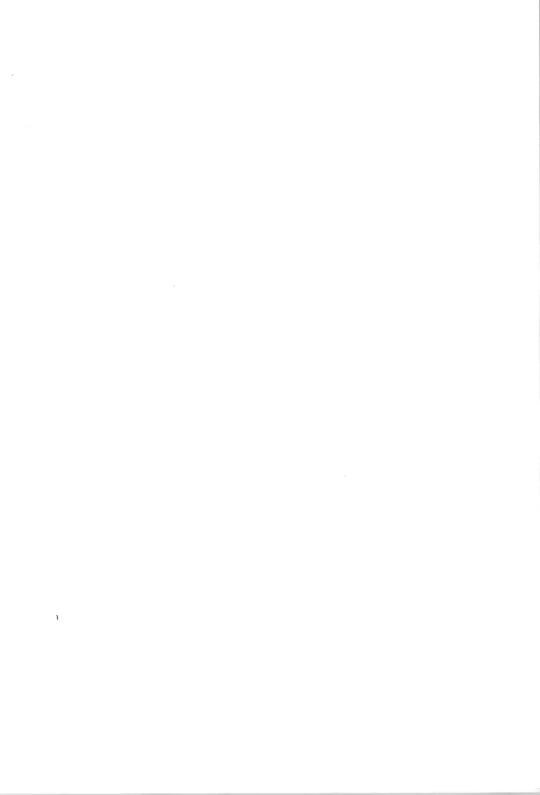 TS Mahou Shoujo Pure Rabbit Fhentai - Page 2