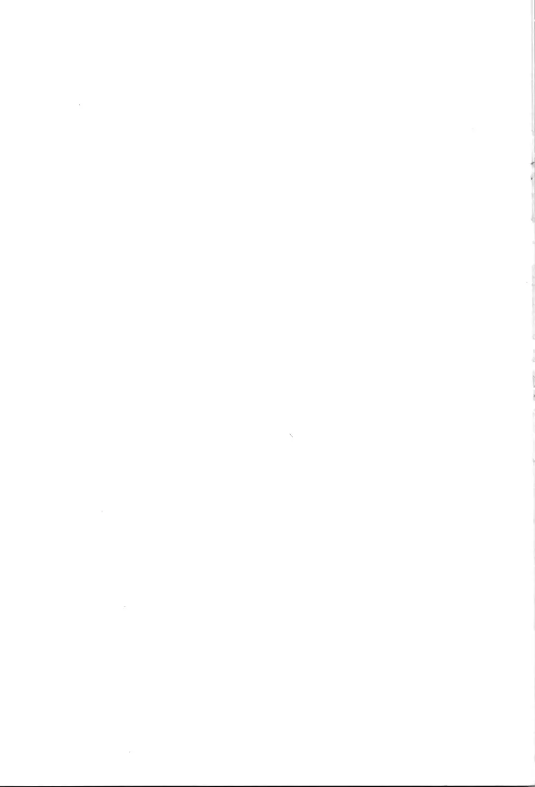 TS Mahou Shoujo Pure Rabbit Fhentai - Page 31