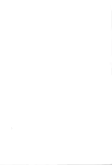 TS Mahou Shoujo Pure Rabbit Fhentai - Page 2