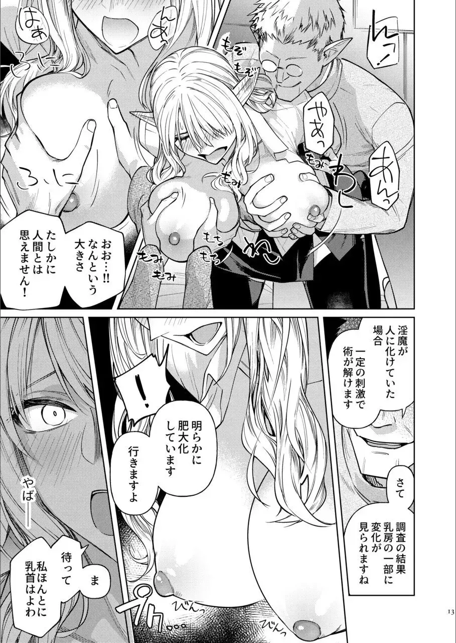 [Ninomiya Hitomi] Eiyuu o Kataru Itansha Fhentai - Page 12