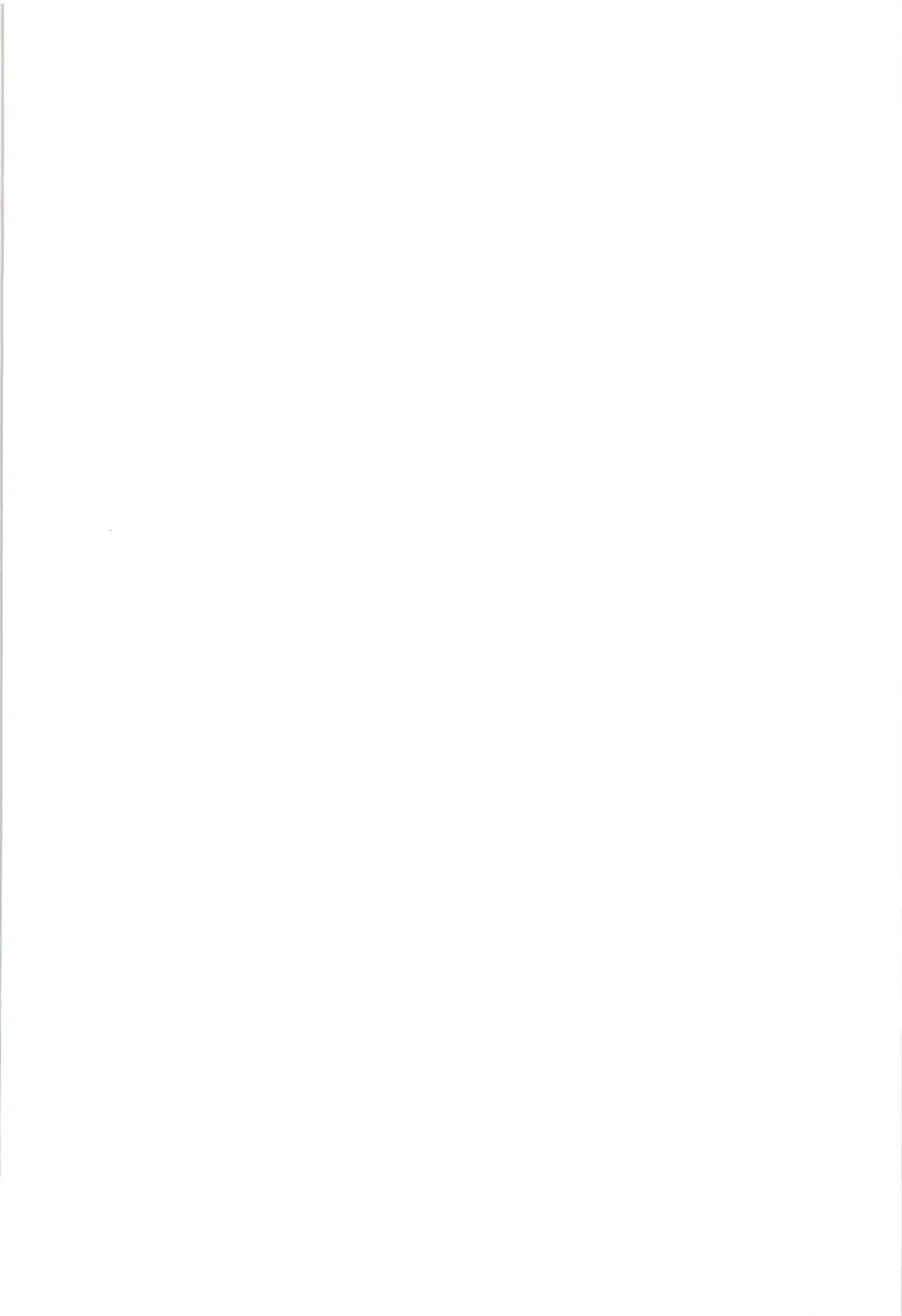 [Shinama] Boushoku!! Inu Maid Fhentai - Page 2