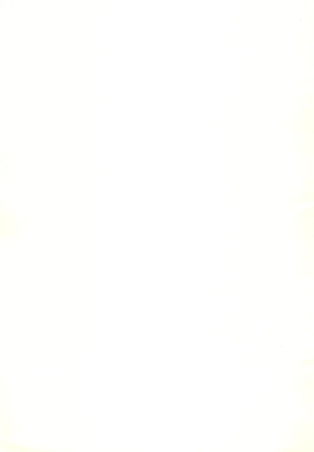 [Rit.] SATOHSAN+YAMADAKUN1 RANGE 1.01 A STEREORANGE PRODUCT Fhentai - Page 27