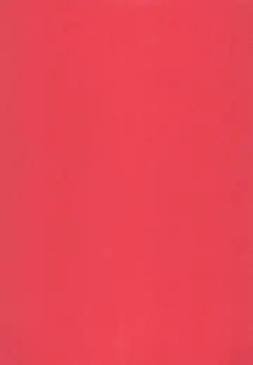 [Rinpon] Erika no Oshinobi! Fhentai - Page 29