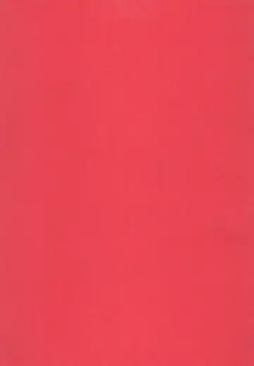 [Rinpon] Erika no Oshinobi! Fhentai - Page 3