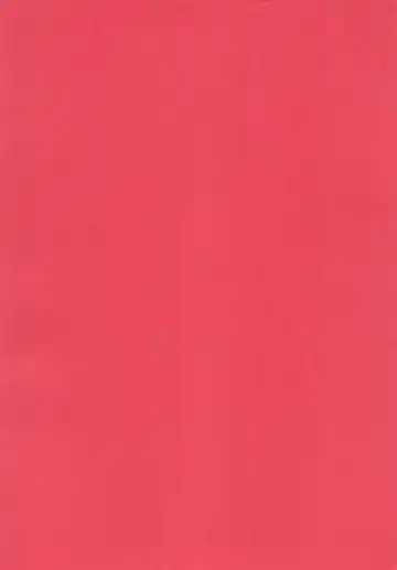 [Rinpon] Erika no Oshinobi! Fhentai - Page 4